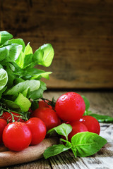 Cherry tomatoes, green basil, vintage wooden background, toned i