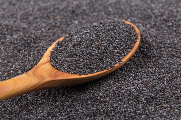 Wooden spoon with poppy seeds