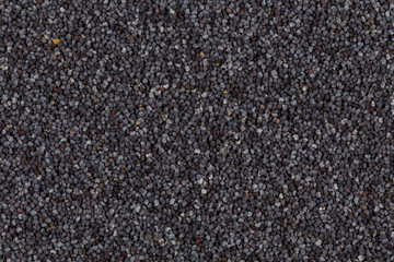 Poppy seeds background