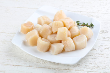 Raw scallops