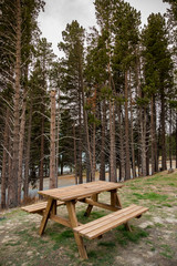 Picnic table in the forest/park in New Zealand