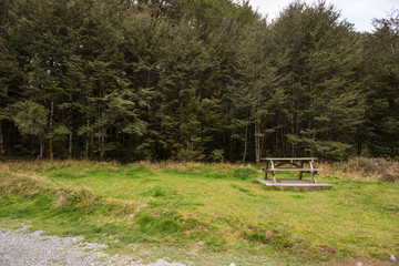 Picnic table in the forest/park in New Zealand