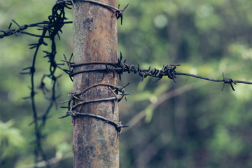 Rusty barbed wire on tube