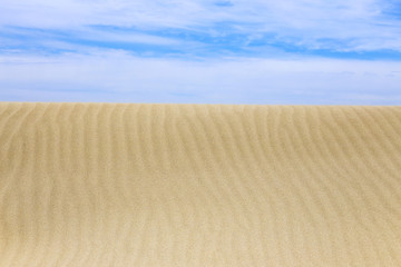 traces régulières du vent sur des dunes de sable doré