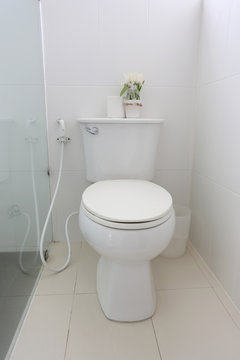 Sanitary ware object of bathroom interior.