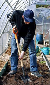 Man in greenhouse digging the soil a shovel on the gardenbed
