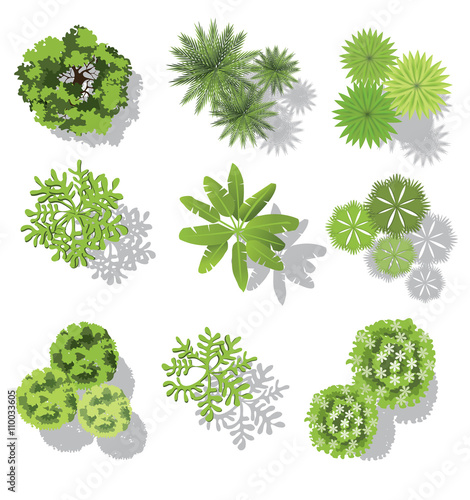 "set of treetop symbols, for architectural or landscape design, for map
