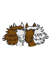 2 horse friends some love in love face cute sweet head beautiful horse pony stallion riding white comic cartoon
