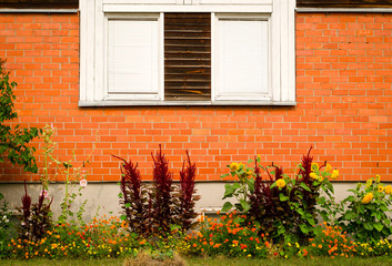 Fototapeta na wymiar Vintage window on brick wall and garden underneath