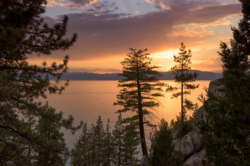 Fototapeta na wymiar Sunset in Lake Tahoe, Nevada with pine trees in the foreground and light from the setting sun shimmering on the lake.