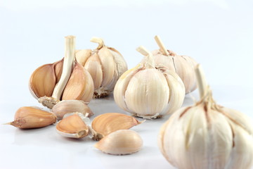 garlic isolated  white background