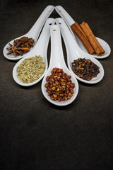 Five Spice with Szechuan Peppercorns Focus