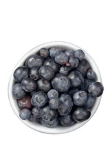 indigo-colored berries