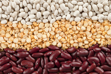 arrangement of assorted beans