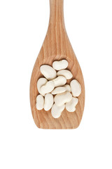 Fototapeta na wymiar white beans in wooden spatula