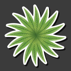 Tropical leaves design. leaf icon. natural concept, vector illustration