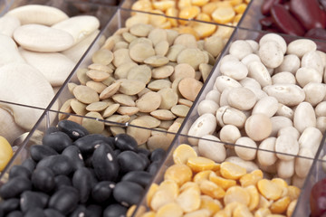 cropped image of variety of food grains in glass partition.