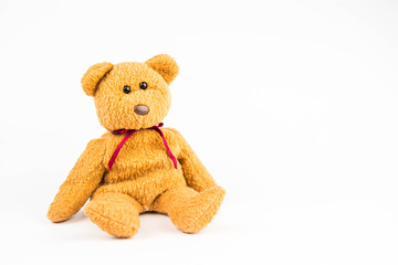 teddy bear on white background