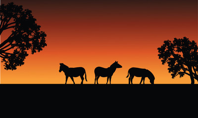 Fototapeta na wymiar Zebra silhouette in fields