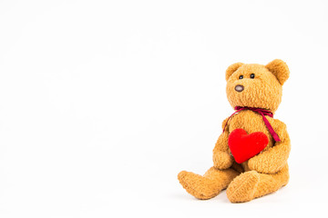 teddy bear on white background