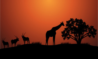Fototapeta na wymiar Silhouette of antelope and giraffe