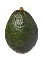 avocado fruit