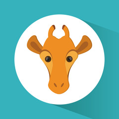 Giraffe icon. Animal design. Safari concept