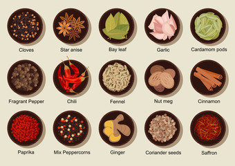 Natural healthy fresh and dried spices flat icon