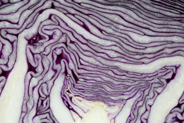 Red Cabbage