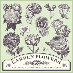 vintage floral design elements - collection of vector flower engravings