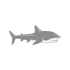 Marine Predator Shark Design Flat