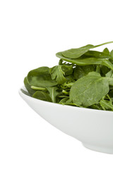 wet fresh green spinach leaves