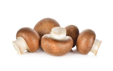 uncooked Swiss brown champignon mushroom on white background