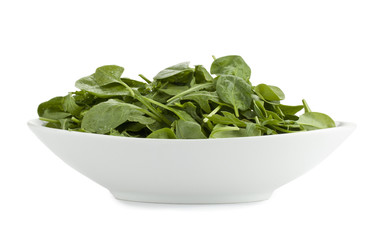 healthy green spinach