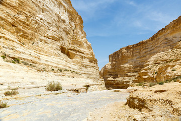 Fototapeta premium Canyon Ein Avdat