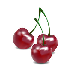 Red cherry berries
