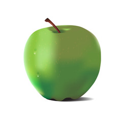 Detailed big shiny green apple