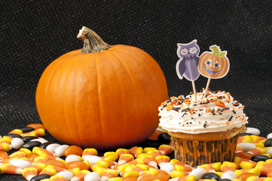 Yummy Halloween Cupcake And Pumpkin