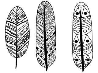 feather coloring vector for adults