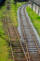 Fototapeta na wymiar Tory kolejowe zarośnięte trawą na bocznicy kolejowej