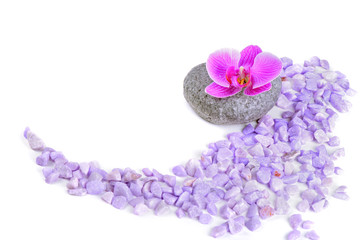 Salt, stone and orchid