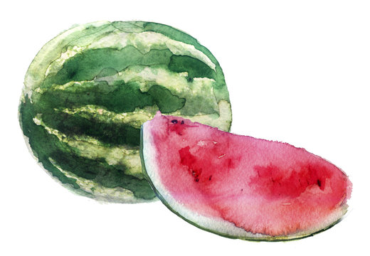 watercolor sketch of a watermelon on a white background