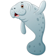Cartoon seal