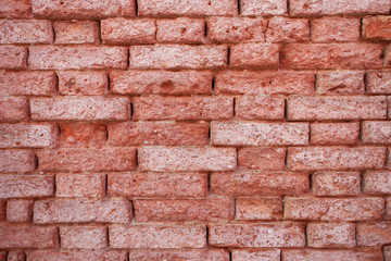 detail of a dated wall in Burano island, Venice