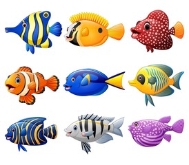 Fototapeta premium Fish cartoon set