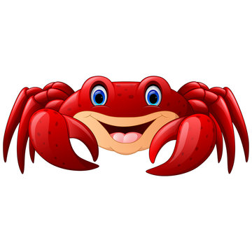 Cartoon red marine crab