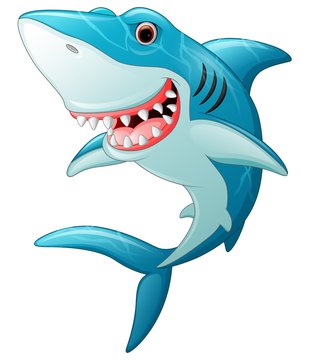 Smiling shark cartoon
