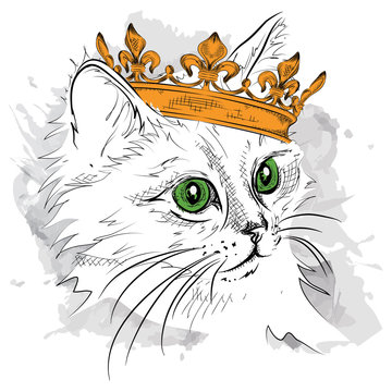Hand draw Image Portrait cat  in the crown. African / indian / totem / tattoo design. Use for print, posters, t-shirts. Hand draw vector illustration