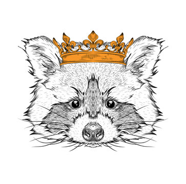 Hand draw Image Portrait raccoon  in the crown. Use for print, posters, t-shirts. Hand draw vector illustration