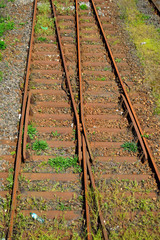 Tory kolejowe zarośnięte trawą na bocznicy kolejowej